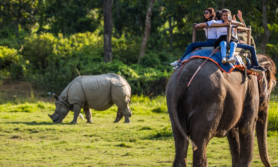 elephant-ride-in-chitwan-tour